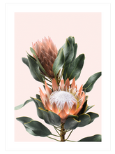 Exotic Touch - Poster Seti Trio